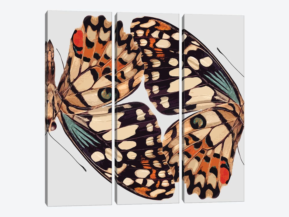 Butterfly Mirror by Art Mirano 3-piece Canvas Print