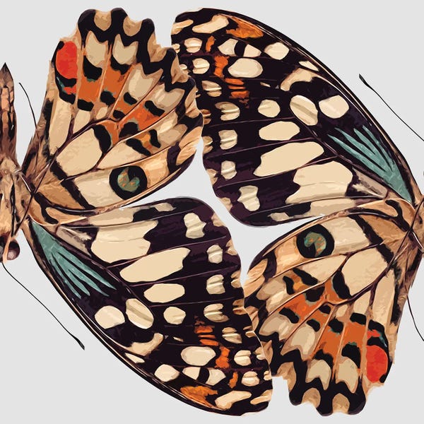 Art Mirano: Butterfly Mirror by Art Mirano