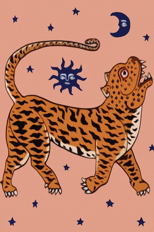 Tiger & night