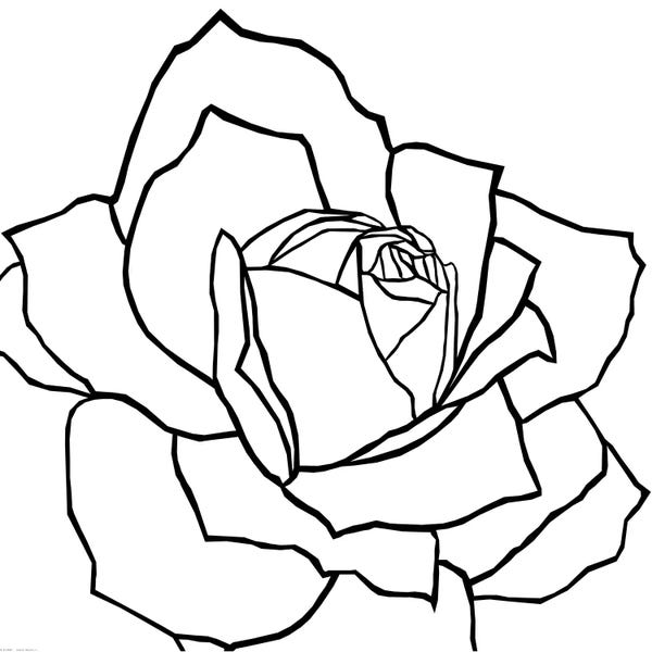 Black & White Florals: Danna Black by Art Mirano