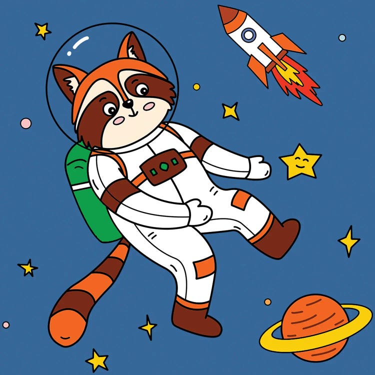 Raccoon In Space