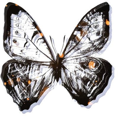 Butterfly Solitude by Art Mirano multi panel art