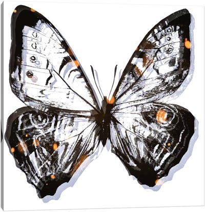 Butterfly Solitude Canvas Art Print - Glitch Effect