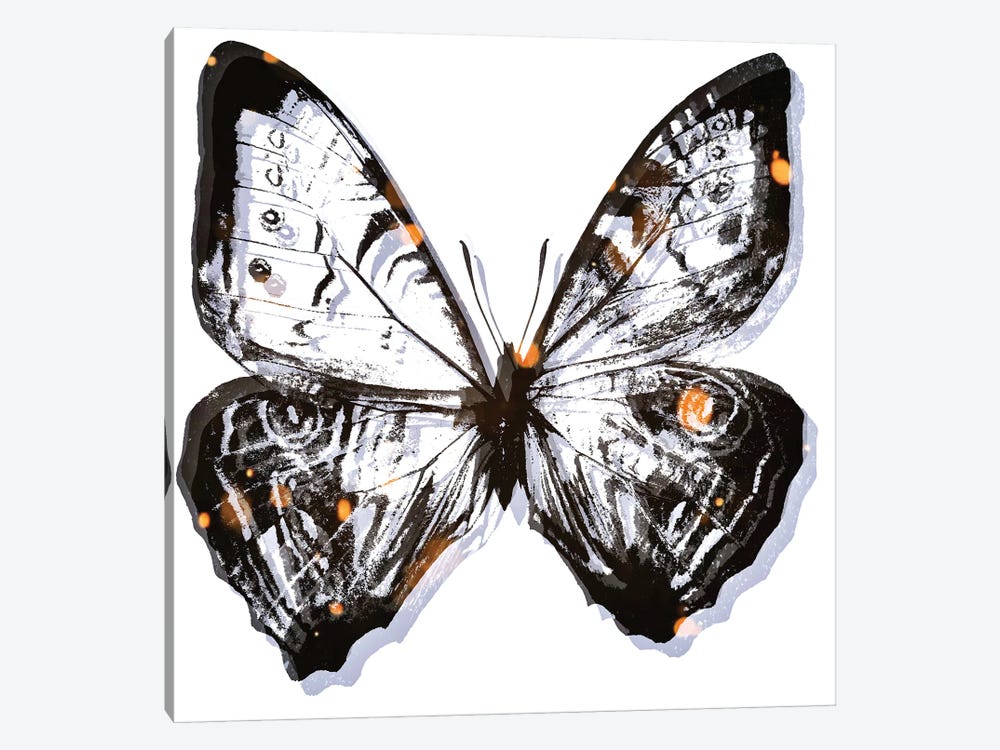 Butterfly Solitude by Art Mirano 1-piece Canvas Art Print