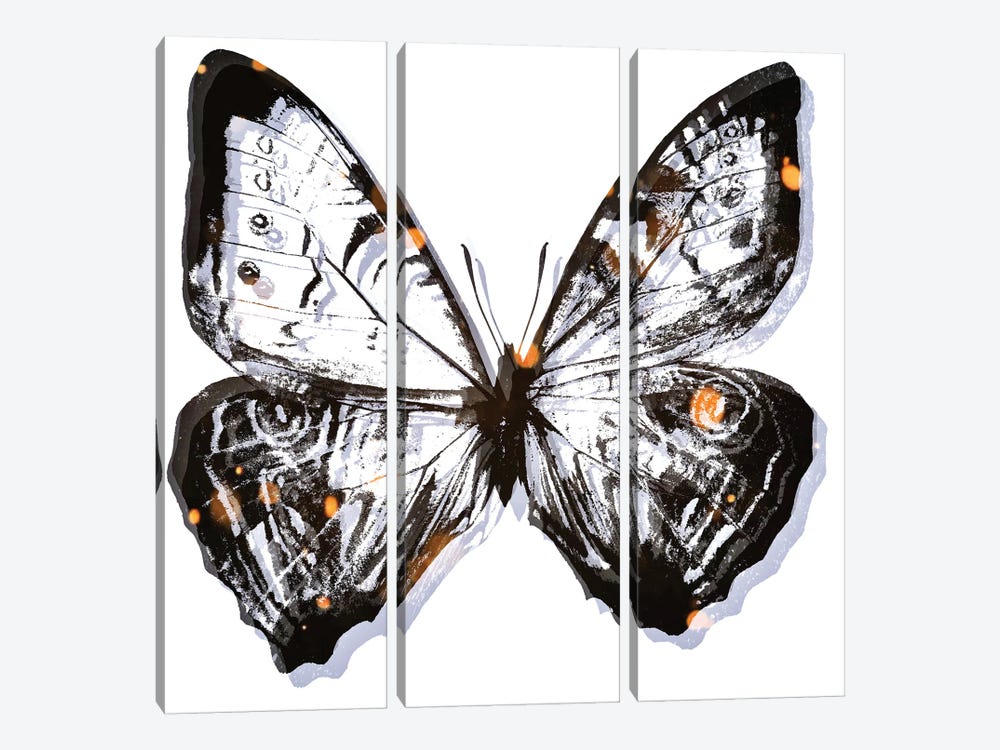 Butterfly Solitude by Art Mirano 3-piece Canvas Art Print