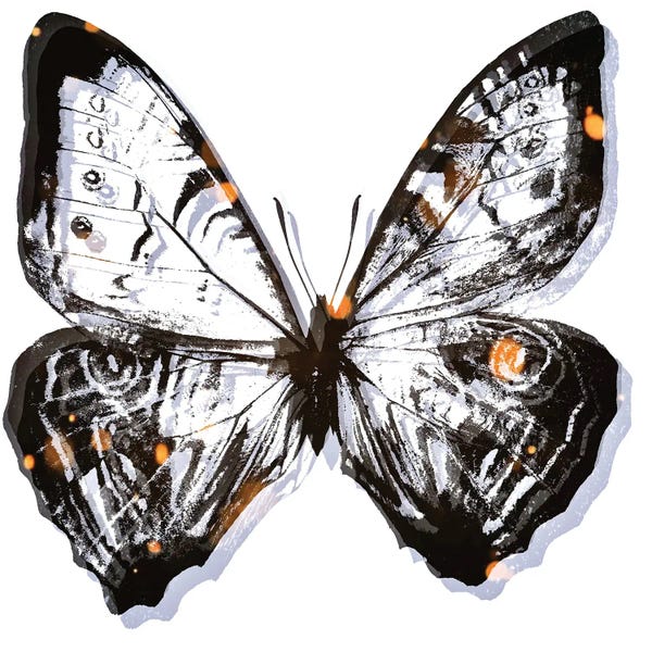 Psychedelic: Butterfly Solitude by Art Mirano