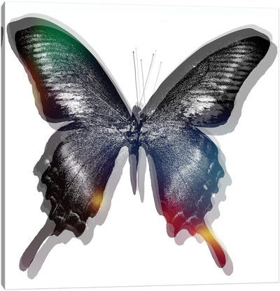 Butterfly II Canvas Art Print - Glitch Effect