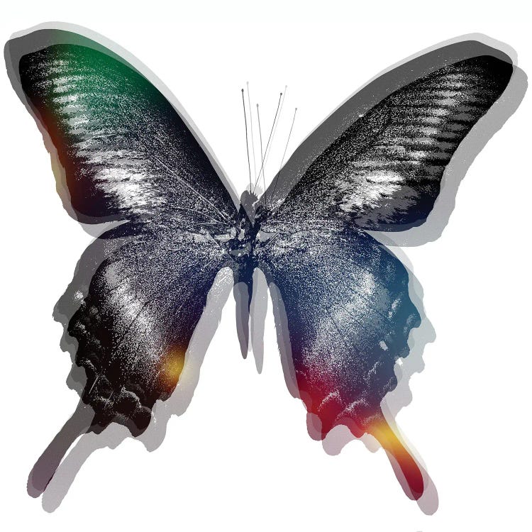 Butterfly II