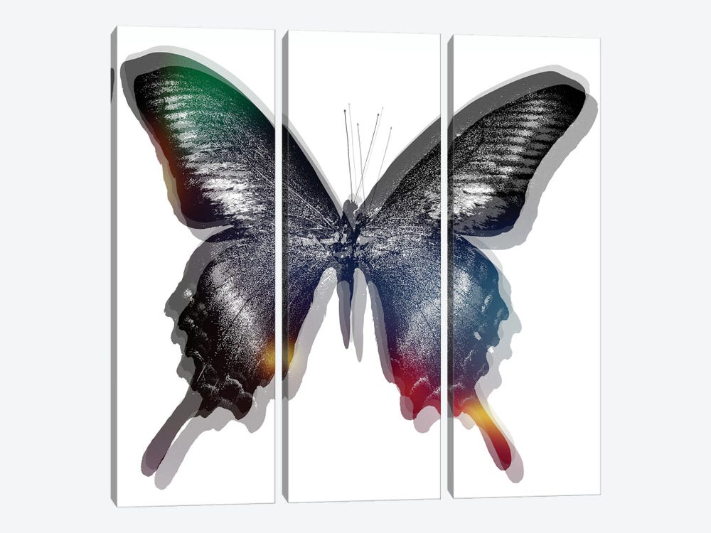 Butterfly II by Art Mirano 3-piece Canvas Art Print