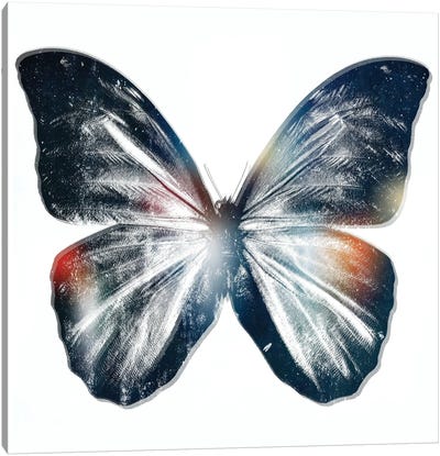 Butterfly III Canvas Art Print - Glitch Effect