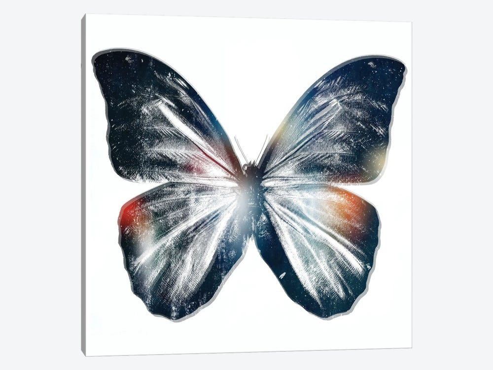 Butterfly III by Art Mirano 1-piece Canvas Artwork