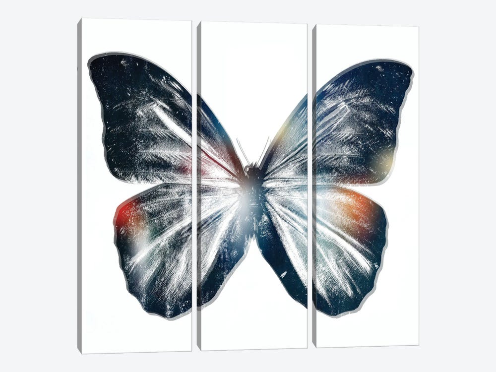 Butterfly III by Art Mirano 3-piece Canvas Wall Art