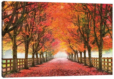 North Bend Trees Canvas Art Print - Autumn & Thanksgiving