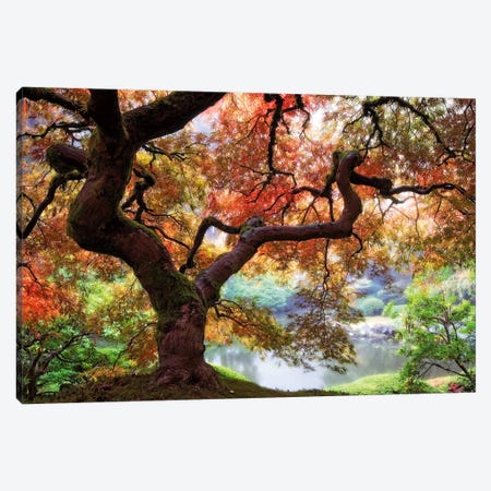 Dreaming of October Canvas Print #ARN2} by Aaron Reed Canvas Art
