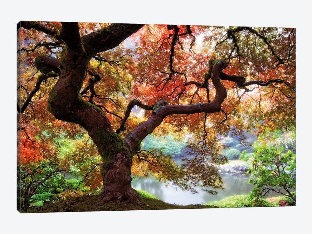 Dreaming of October by Aaron Reed 1-piece Art Print