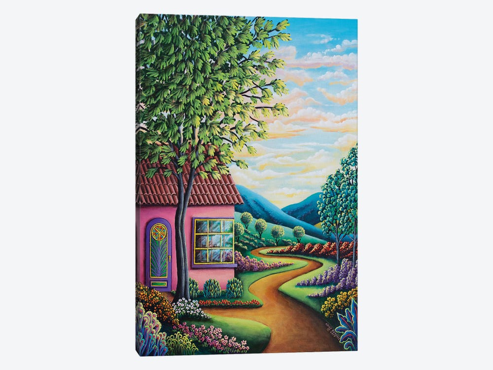 Pink House by Andy Russell 1-piece Art Print