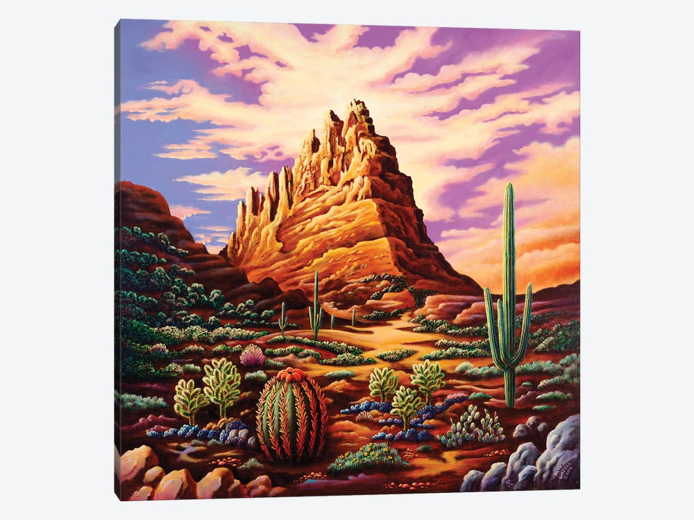 Superstition Mountains by Andy Russell 1-piece Canvas Print