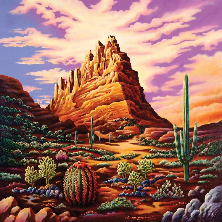 Superstition Mountains by Andy Russell wall art