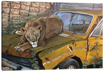 Resting Lioness Canvas Art Print - Artur Rios