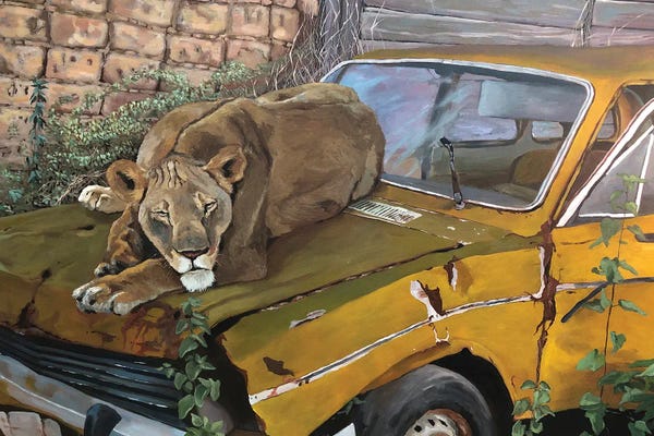 Artur Rios: Resting Lioness by Artur Rios