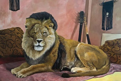 Resting Lion by Artur Rios framed canvas print