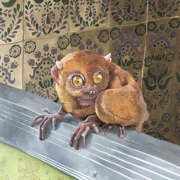 Artur Rios: Tarsio At Bathroom by Artur Rios