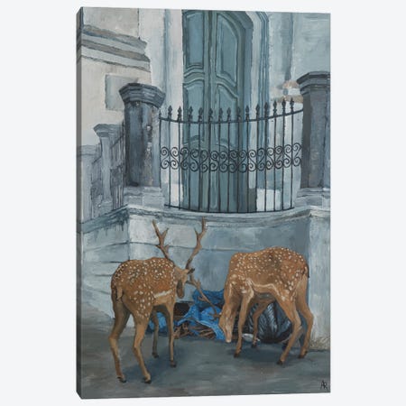 Wandering Deers On Santo Antonio Canvas Print #ARX1} by Artur Rios Canvas Print