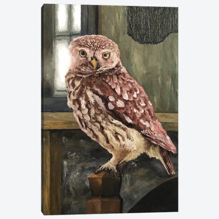 Owl At Home Canvas Print #ARX29} by Artur Rios Canvas Print