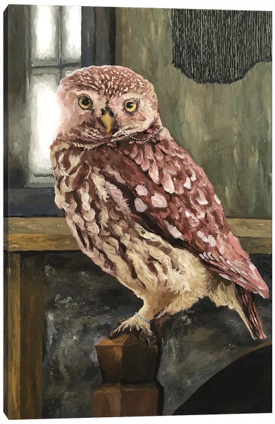 Owl At Home Canvas Art Print - Artur Rios