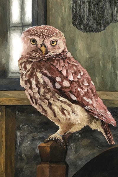 Artur Rios: Owl At Home by Artur Rios