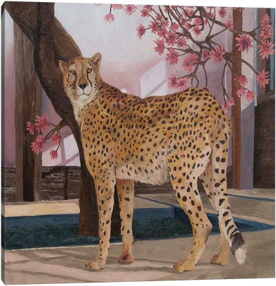 Cheetah On Break Canvas Art Print - Cheetah Art