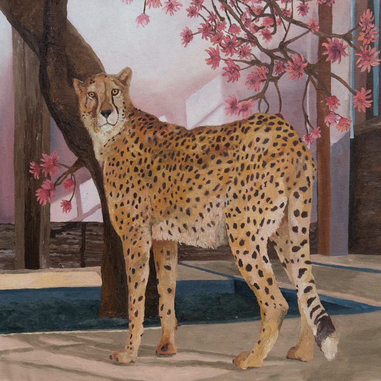 Cheetah On Break by Artur Rios wall art