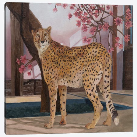 Cheetah On Break Canvas Print #ARX34} by Artur Rios Art Print