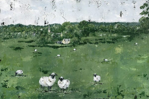 Sheep: English Countryside by Ashley Bradley