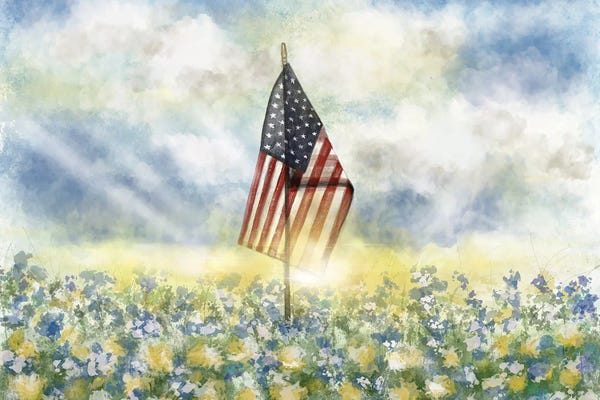 American Flags: Freedom by Ashley Bradley
