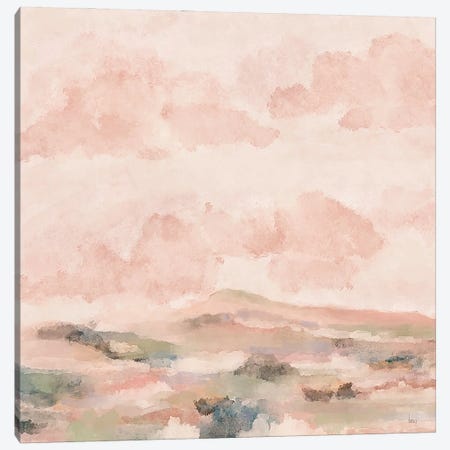 Sonoran Skies Canvas Print #ASB235} by Ashley Bradley Art Print