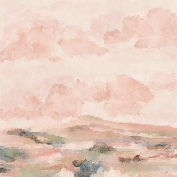 Sonoran Skies