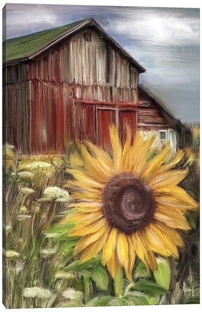 Sunflower Field Canvas Art Print - Farm Art
