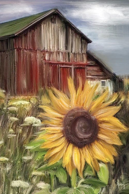Sunflower Field by Ashley Bradley wall art