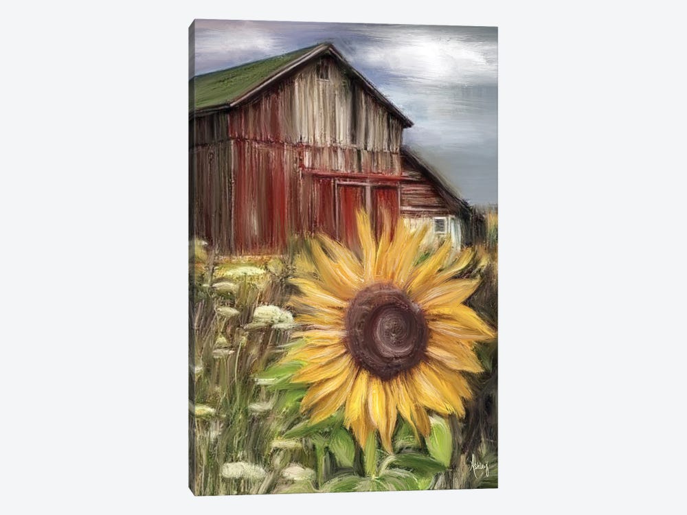 Sunflower Field by Ashley Bradley 1-piece Canvas Print