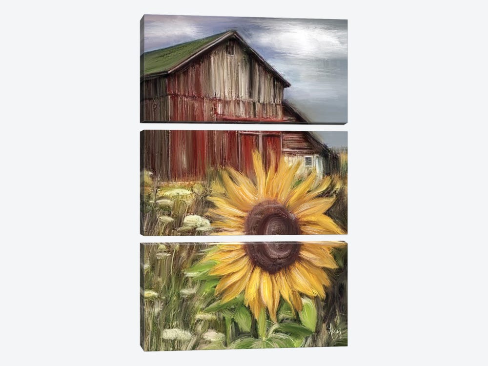 Sunflower Field by Ashley Bradley 3-piece Canvas Art Print