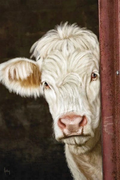 Fine Art Print: Peek A Moo by Ashley Bradley