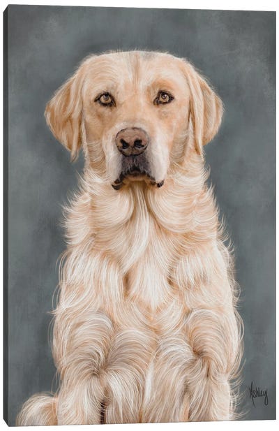 Yellow Lab Portrait Canvas Art Print - Ashley Bradley
