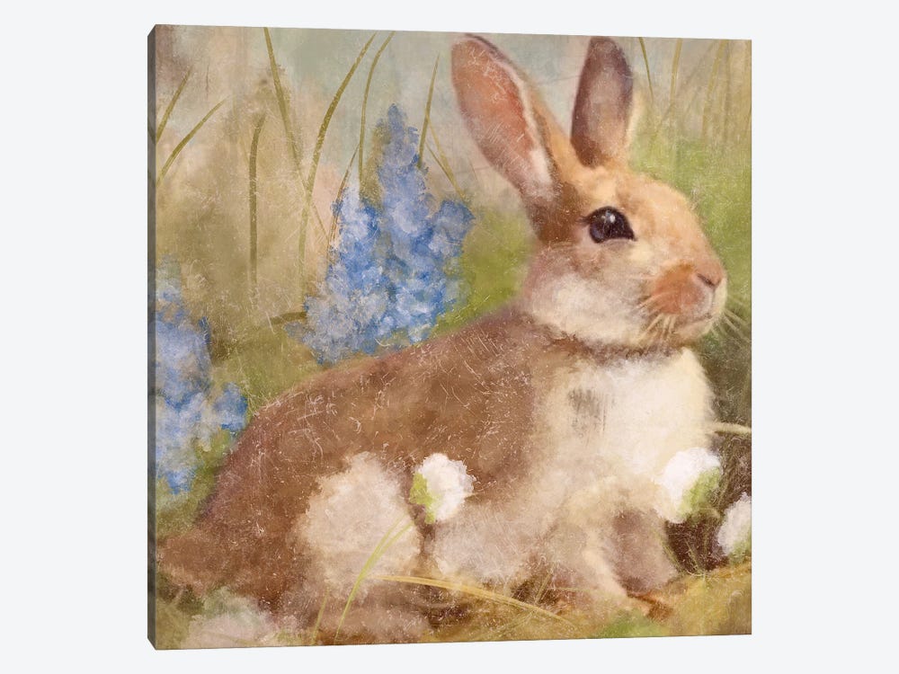 Bunny In Meadow by Ashley Bradley 1-piece Canvas Wall Art