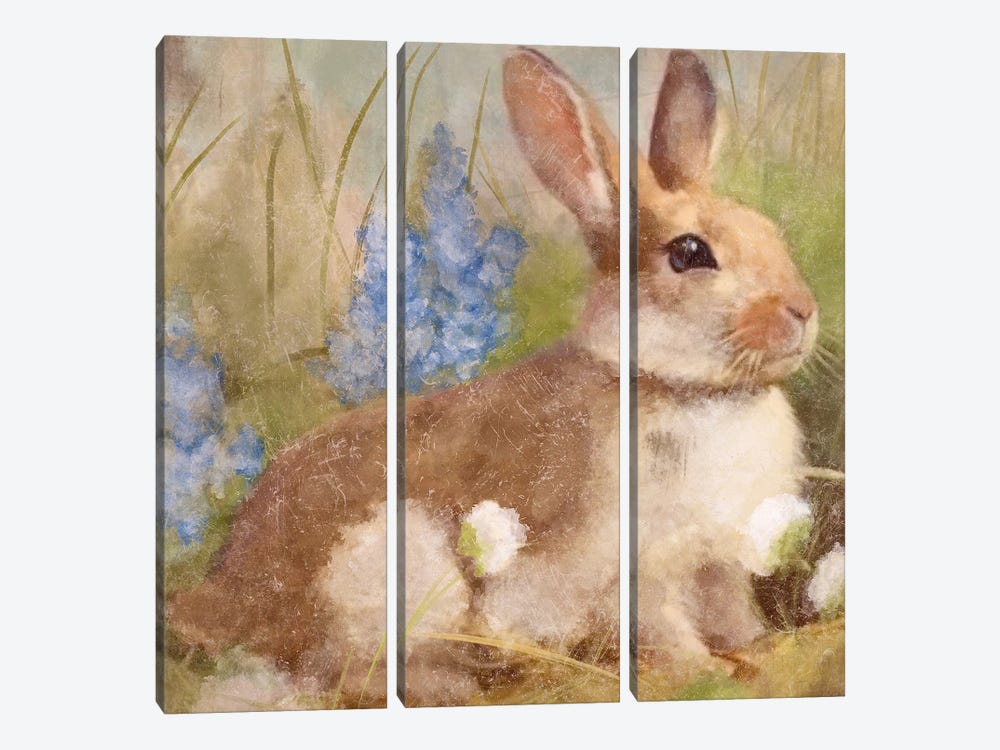 Bunny In Meadow by Ashley Bradley 3-piece Canvas Artwork