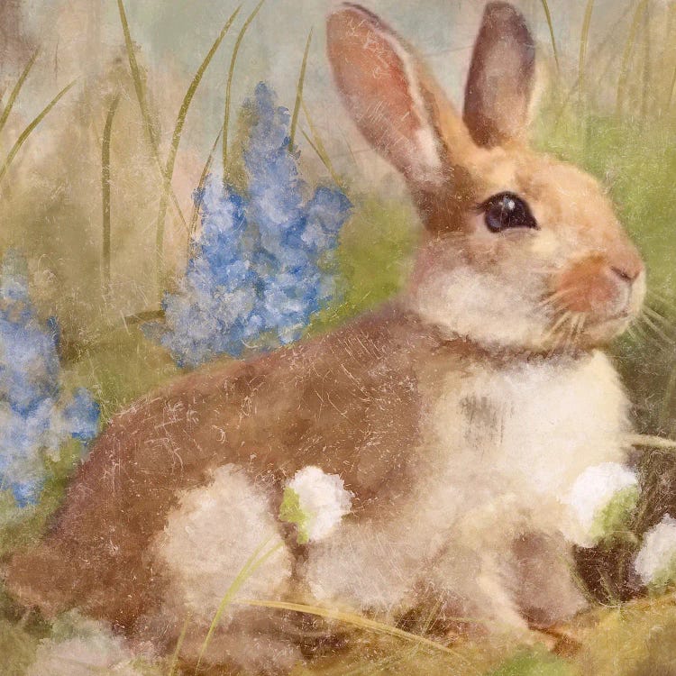 Bunny In Meadow