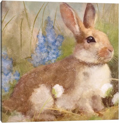 Bunny In Meadow Canvas Art Print - Ashley Bradley