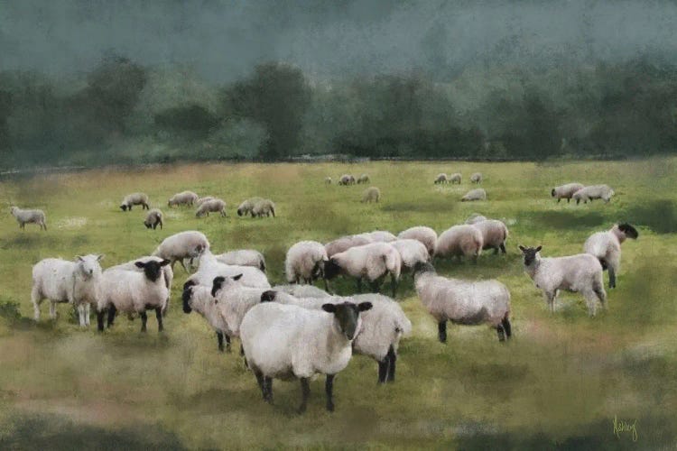 Moody Sheepscape by Ashley Bradley wall art