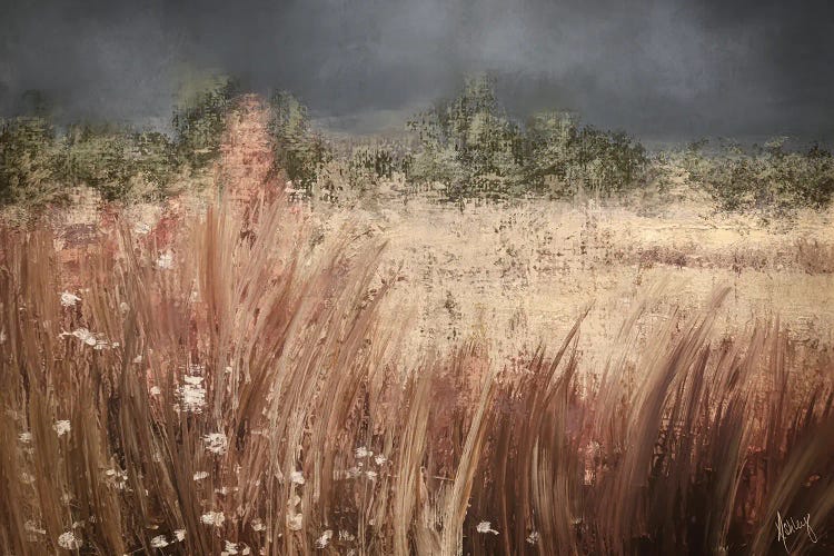 Moody Meadow