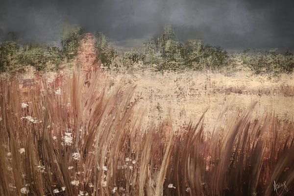 Moody Meadow